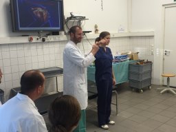 Ambulanztrainer 2015